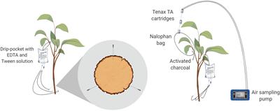 Biopesticide Trunk Injection Into Apple Trees: A Proof of Concept for the Systemic Movement of Mint and Cinnamon Essential Oils